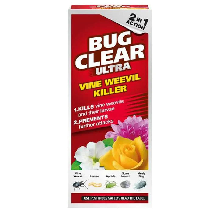 Vine Weevil Control for Healthy Plants