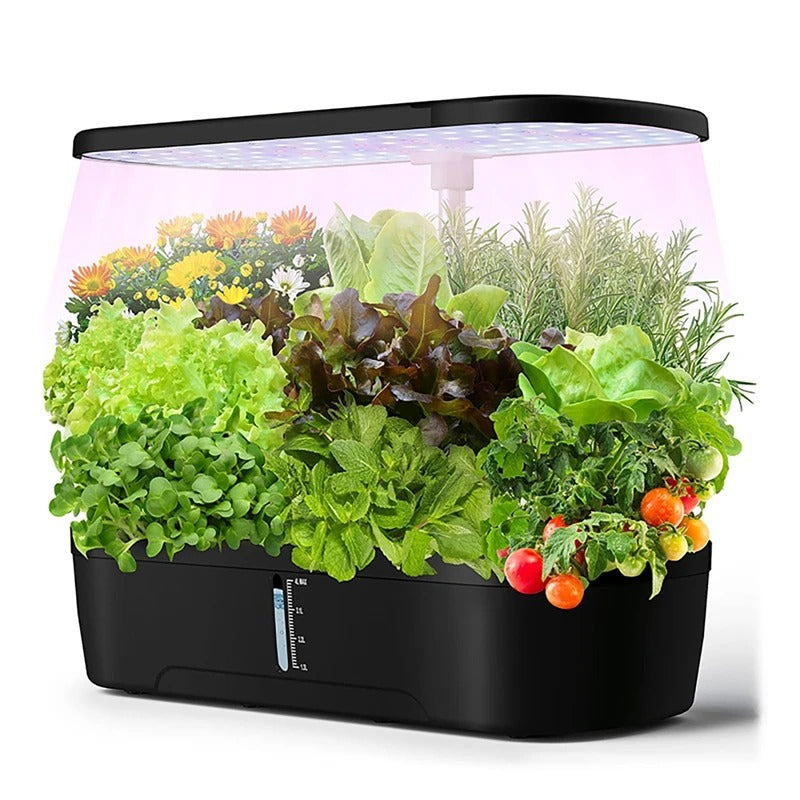 Hydroponics Growing System | Indoor Smart Plant Growing Kit