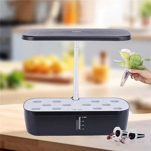 Hydroponics Growing System | Indoor Smart Plant Growing Kit